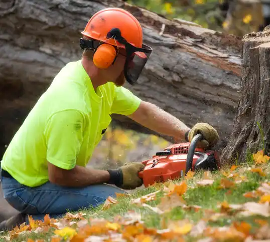 tree services Roper